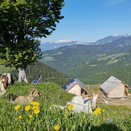 Farmstay&glamping Visocnik *