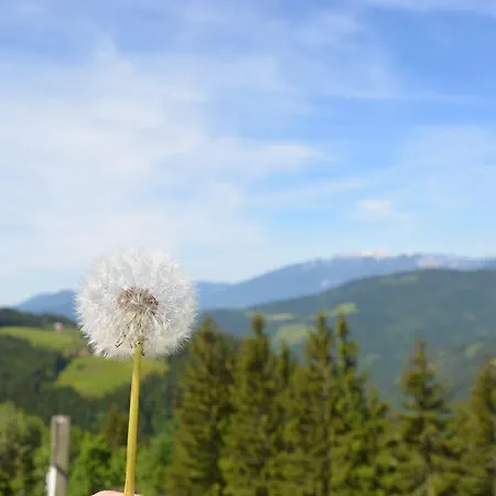 팜스테이 Farmstay&glamping Visocnik *