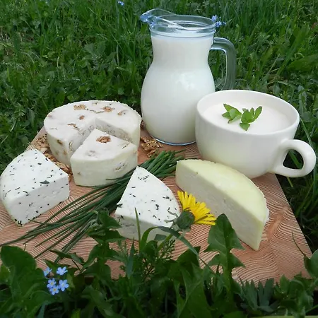 Farmstay&glamping Visocnik