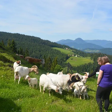 팜스테이 Farmstay&glamping Visocnik Ljubno