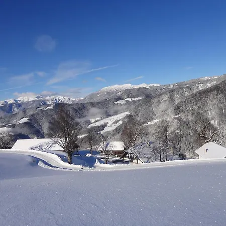 Farmstay&glamping Visocnik * Ljubno