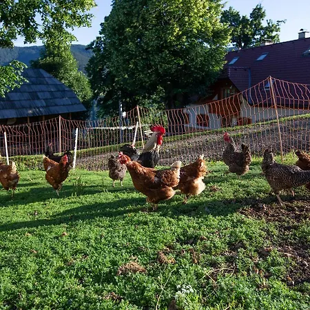 Farmstay&glamping Visocnik