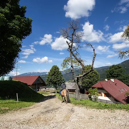 Farmstay&glamping Visocnik Ljubno