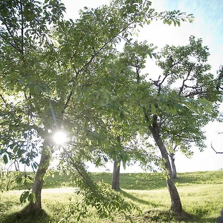 팜스테이 Farmstay&glamping Visocnik