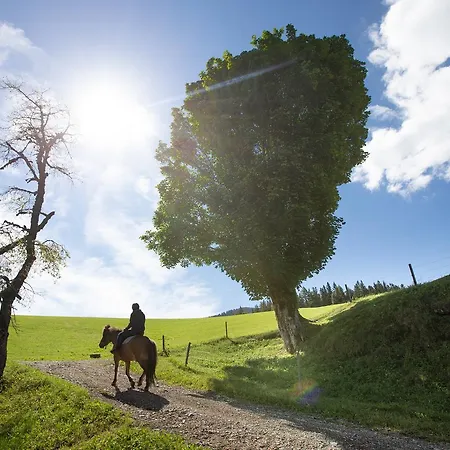Farmstay&glamping Visocnik * Ljubno
