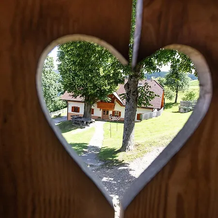 Farm stay Farmstay&glamping Visocnik