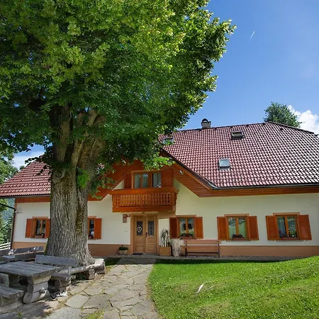 Farmstay&glamping Visocnik Ljubno