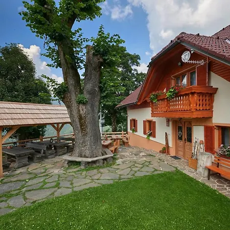 Alojamento de Turismo Rural Farmstay&glamping Visocnik