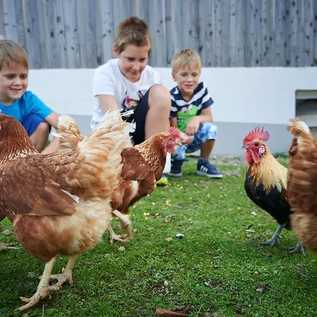 Farmstay&glamping Visocnik Ljubno