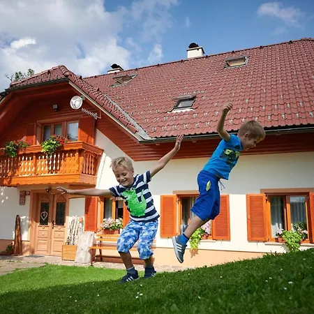 Farmstay&glamping Visocnik * Ljubno