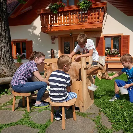 Farmstay&glamping Visocnik *