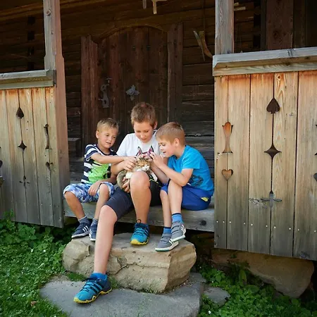 Farmstay&glamping Visocnik *