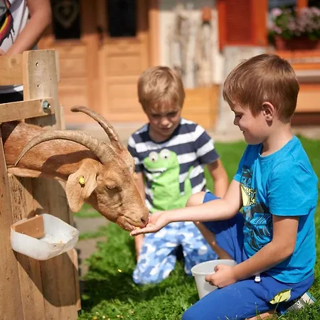 Farm stay Farmstay&glamping Visocnik