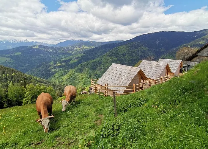Farmstay&glamping Visocnik Alloggio per agriturismo Ljubno