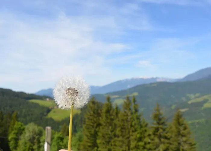 Smještaj na farmi Farmstay&glamping Visocnik *
