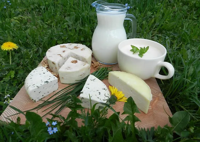 Farmstay&glamping Visocnik