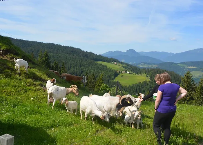 Smještaj na farmi Farmstay&glamping Visocnik Ljubno