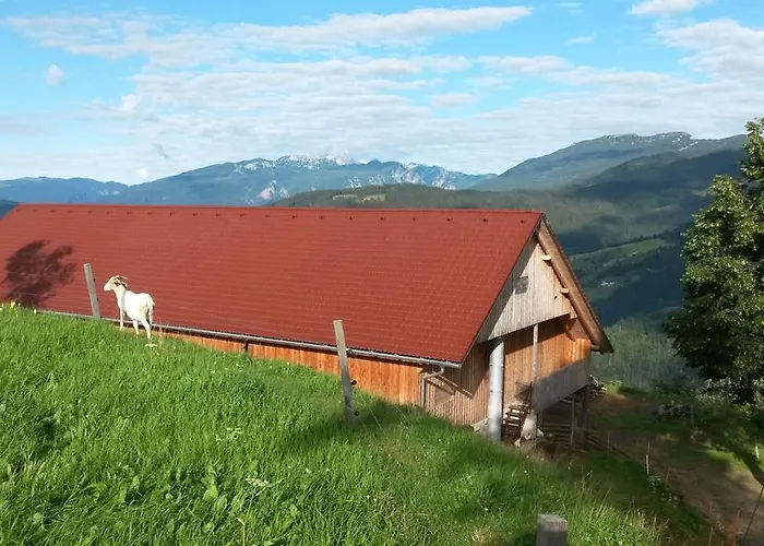 Farmstay&glamping Visocnik Alloggio per agriturismo Ljubno