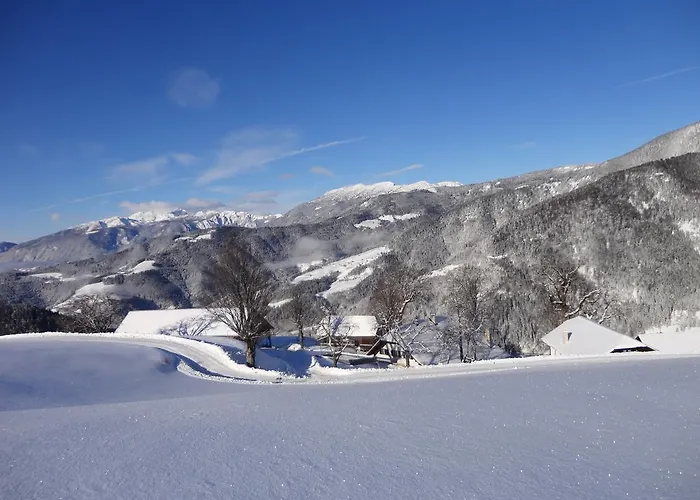 Farmstay&glamping Visocnik * Ljubno