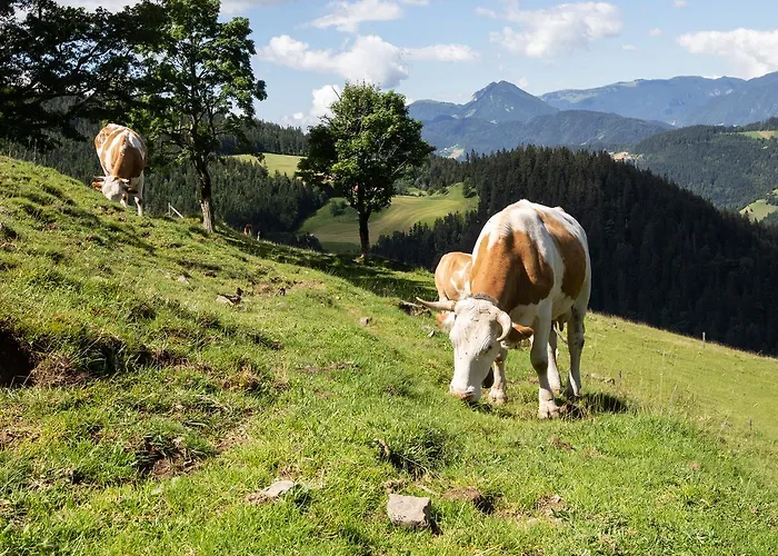 Farmstay&glamping Visocnik