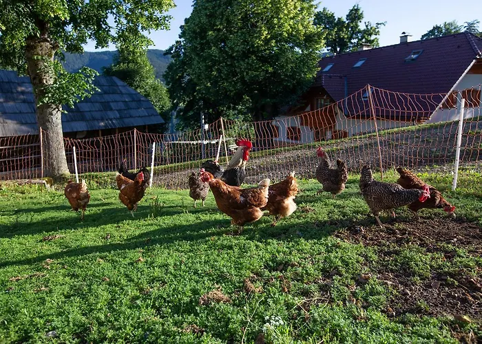 Farmstay&glamping Visocnik