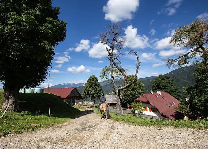 Farmstay&glamping Visocnik Ljubno