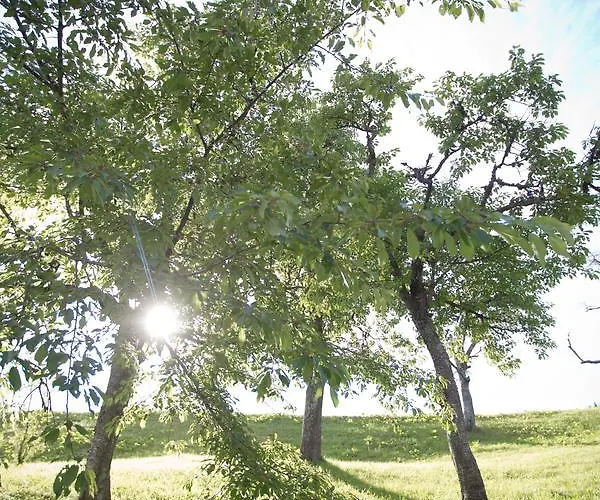 Smještaj na farmi Farmstay&glamping Visocnik