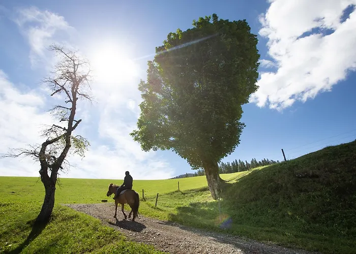 Farmstay&glamping Visocnik * Ljubno
