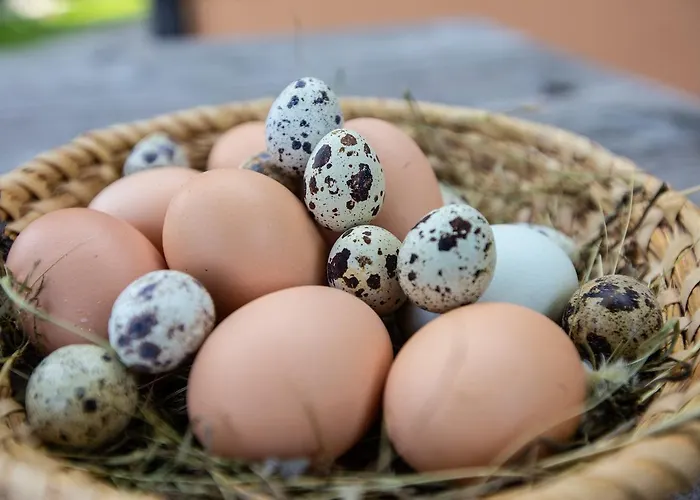 Smještaj na farmi Farmstay&glamping Visocnik Ljubno