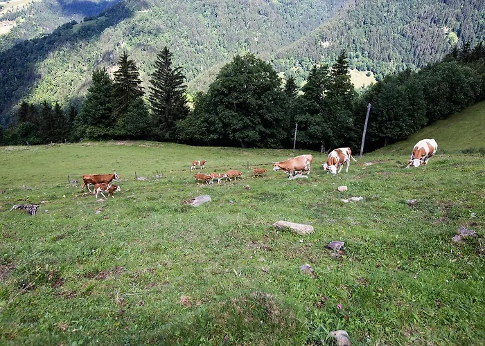 Çiftlik konaklama Farmstay&glamping Visocnik