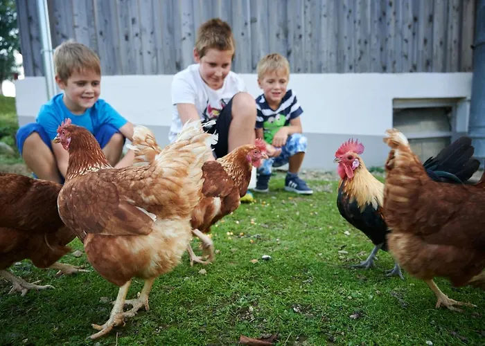 Farmstay&glamping Visocnik Ljubno