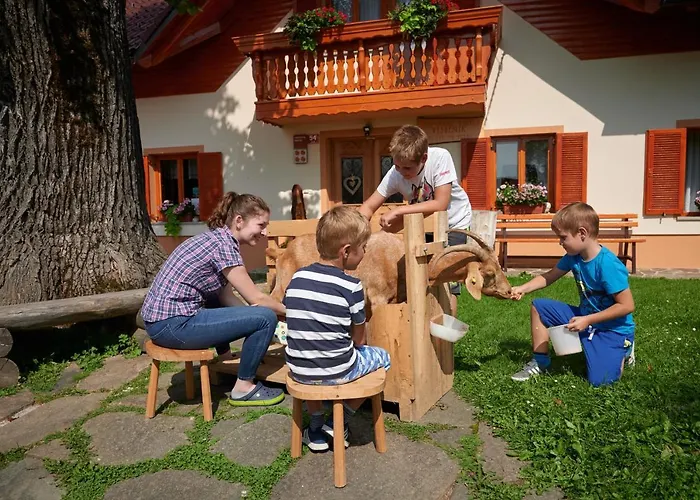 Farmstay&glamping Visocnik *