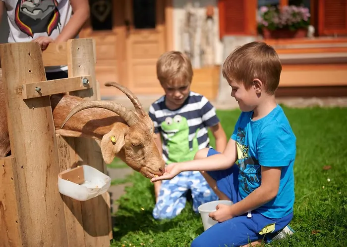 Çiftlik konaklama Farmstay&glamping Visocnik